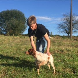 Clos des Jarousses - Dressage de chiens, épagneul breton