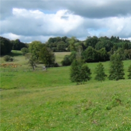 Clos des Jarousses - Pension canine, extérieur